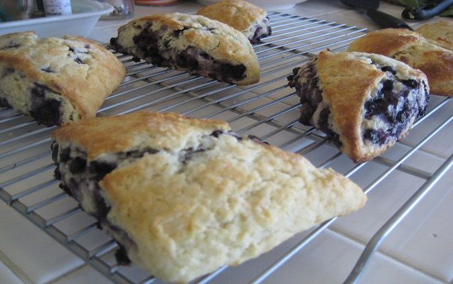 Scones aux bleuets sauvages et fromage